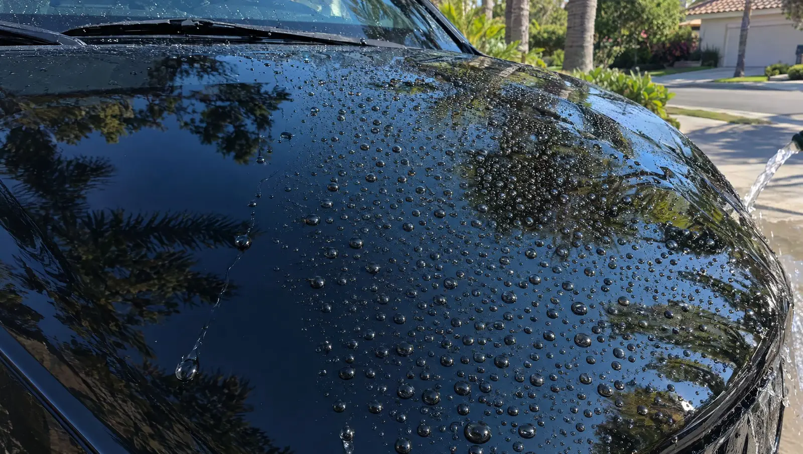 Water beading tight on a ceramic coated black hood reflecting palm trees