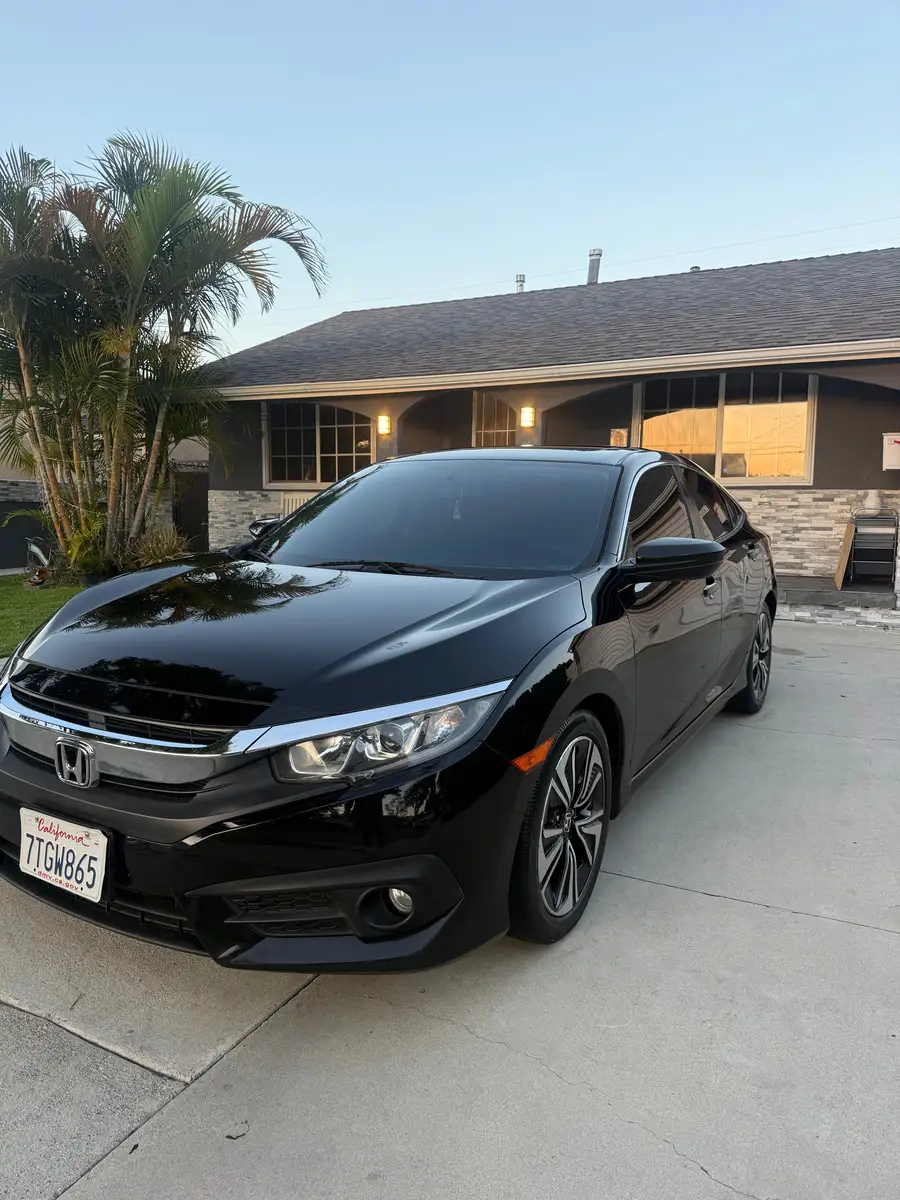 Black Honda Civic after detailing, parked in a driveway