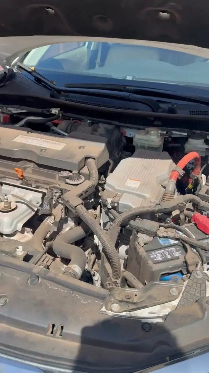 Dusty Honda engine bay before engine bay cleaning